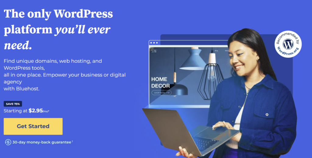 Top Hosting Affiliate Programs with High Payouts - BlueHost