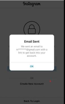 Recovering Instagram Account: email sent Mobile